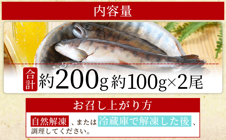 ＜新鮮冷凍ヤマメ 2尾＞ 国産 九州産 尺ヤマメ 山女魚 水産物 魚 魚介 川魚 養殖魚 塩焼き バーベキュー BBQ 【MI770-sk】【有限会社しゃくなげの森】