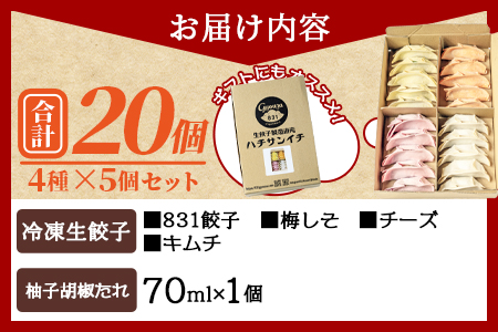 ＜国産野菜と県産豚肉をつかった冷凍生餃子4種食べ比べセット 4種×5個 計20個 オリジナル柚子胡椒タレ1個付＞【MI216-hc】【ハチサンイチ】