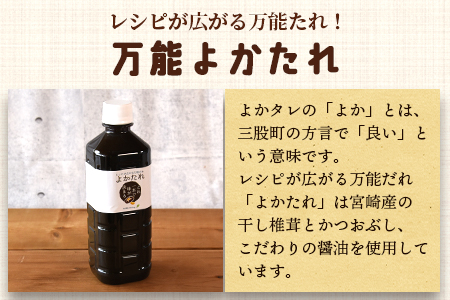 ＜野菜が食べたくなるドレッシング2種類と万能「よかたれ」セット＞玉ねぎ(200ml)、人参(200ml)、宮崎産こだわりの素材を使用した醤油タレ(500ml)様々なお料理の下味や出汁に！【MI138-ao】【青葉食堂】