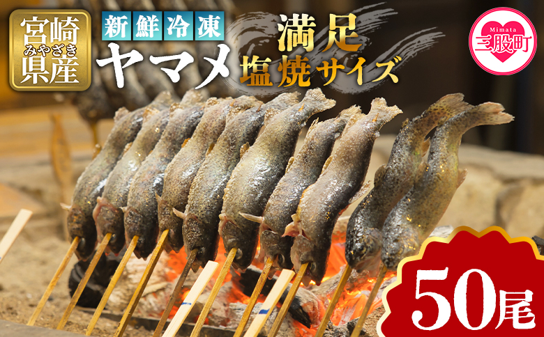 ＜新鮮冷凍ヤマメ 50尾＞ 国産 九州産 尺ヤマメ 山女魚 水産物 魚 魚介 川魚 養殖魚 塩焼き バーベキュー BBQ 【MI773-sk】【有限会社しゃくなげの森】