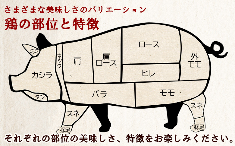 ＜豚肉バラエティセット 約3.8kg＞ バラエティー 国産 ぶたにく お肉 ブタ 精肉 切り落し こま 小間切れ 豚コマ バラ肉 使いやすい パック 冷凍 保存 切り身 スライス おかず お弁当 惣菜 ポークカレー 肉じゃが 料理 アレンジ 【MI465-tr】【TRINITY】