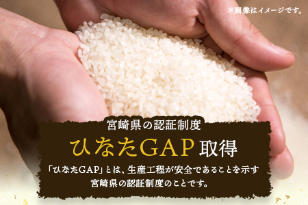 ＜三股米 ヒノヒカリ 令和6年産米 5kg×1袋＞土づくりから丹念に！宮崎県の認証制度ひなたGAP取得のコメ！【MI084-is-R6】【農事組合法人今新】