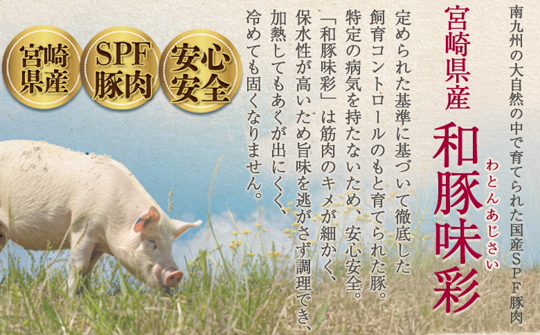 ＜豚バラしゃぶ 約2.4kg＞ 国産 豚肉 ぶたにく お肉 ブタ しゃぶしゃぶ  使いやすい 小分け パック 真空冷凍 お弁当 ジューシー 肉質 柔らかい 上品 豊かな味わい 和豚味彩【MI467-tr-x1】【TRINITY】