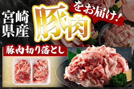 ＜宮崎県産豚肉バラエティーセット 合計3.6kg＞【MI193-hr】【肉の豊楽】