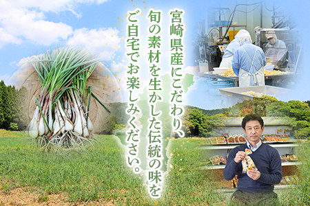 ＜純国産らっきょう3種としょうが2種詰め合わせ各2袋　計10袋＞ 食べ比べセット 国産野菜 宮崎県産 つけもの ご飯 朝ごはんのお供 おつまみ 和食 付け合わせ 豆腐の薬味 漬物グランプリ金賞 宮崎フードアワード優秀賞受賞【MI723-ko】【株式会社 上沖産業】