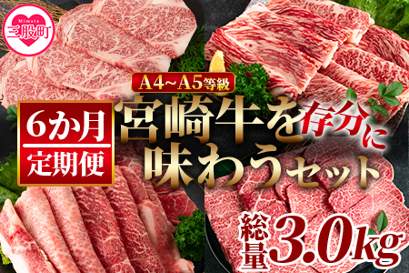 ＜【定期便6か月】宮崎牛を存分に味わうセット 総量3.0kg＞柔らかくきめ細かい肉質と適度な霜降りの入った美味しい牛肉でステーキ、すき焼き、焼肉、BBQをご堪能下さい！【MI231-nh】【日本ハムマーケティング株式会社】