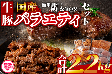 ＜簡単お肉おかず小分けバラエティーセット（牛・豚） 総量約2.2kg＞《国産》【MI271-hr】【肉の豊楽】	