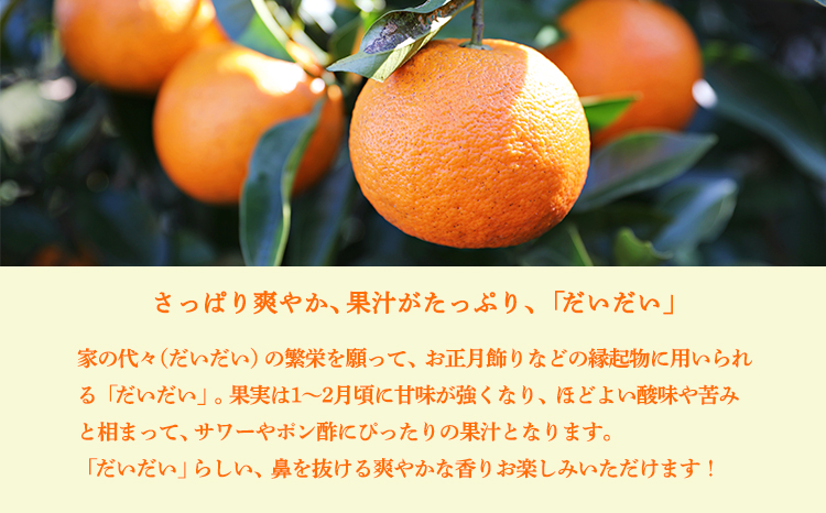 自家製ポン酢やサワーにおすすめ 手搾りだいだい果汁200ml×1p [保存料不使用10000円 ワンストップオンライン] TF0879-P00074