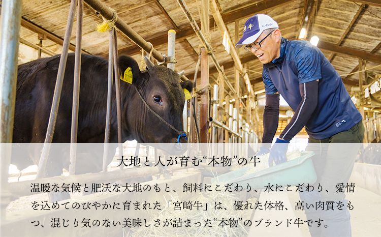 宮崎牛うで肉スライス450g すき焼きしゃぶしゃぶ用（2～3人前） 内閣総理大臣賞4大会連続受賞のお肉 ブランド牛 黒毛和牛 大人気のヘルシーな牛肉 [和牛 国産 黒毛和牛] TF0902-P00020