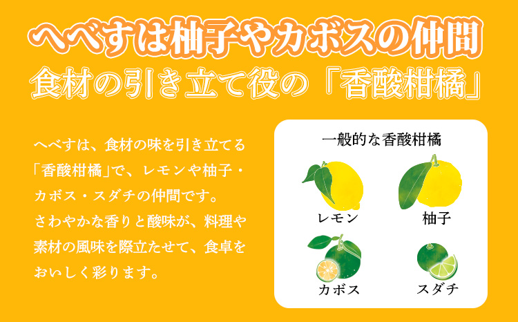 《必須アミノ酸が豊富!》へべすの生搾り果汁200ml×3Ｐ カボス・スダチ・ライム・柚子と同じ 香酸柑橘の平兵衛酢 [20000円 ワンストップオンライン] TF0868-P00074