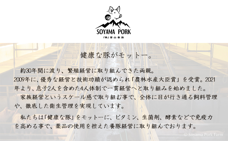 ソヤマポークの生ハム堪能セットTF864-P00078