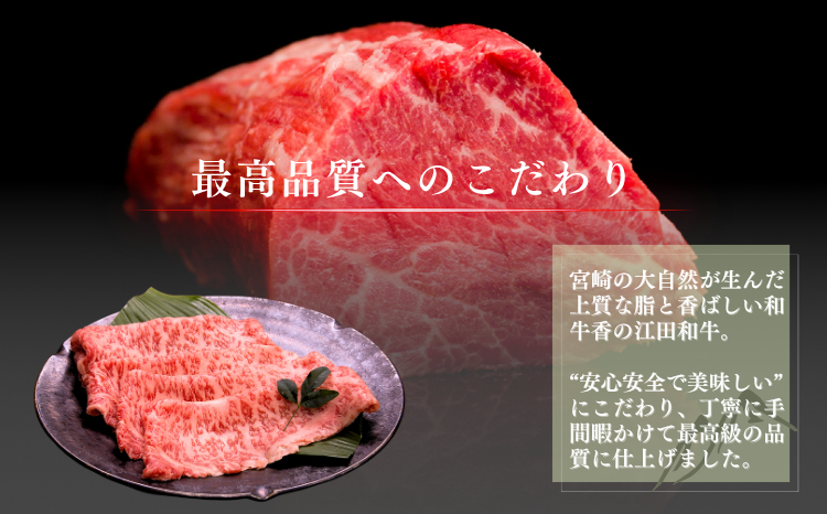厳選 江田和牛 モモステーキ 800gセット(200g×4枚)  日本一のブランド牛「宮崎牛」 [希少 国産 黒毛和牛 冷凍 ギフト A5 牛肉 お肉 宮崎県 ワンストップオンライン対応] TF0744-P00051