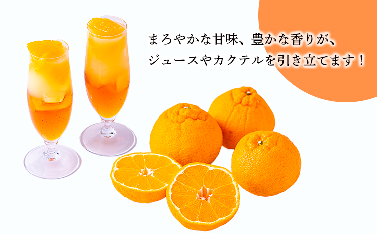 濃厚な甘さ 手搾り不知火(しらぬい)果汁200ml×5p  [保存料不使用40000円 ワンストップオンライン] TF0884-P00074