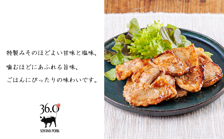 繧ス繝、繝槭昴シ繧ッ縺ョ縺ソ縺昴カ縺溷ェ閭ス繧サ繝繝TF866-P00078