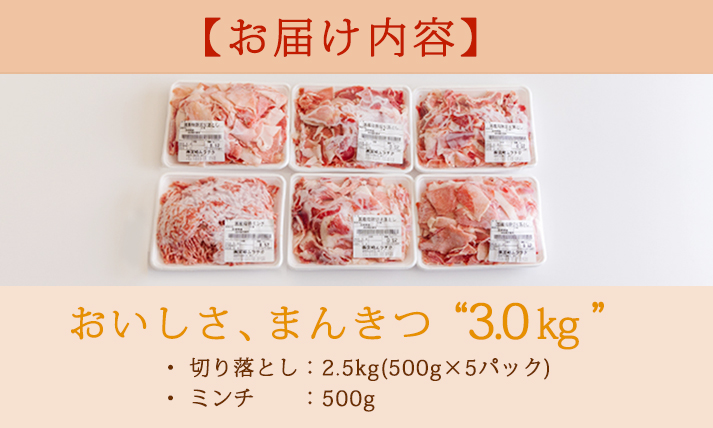 高原育ちの宮崎県産豚肉切り落とし＆ミンチ3kg おいしさ満喫 アレンジ色々 [夕食 お弁当 一人暮らし 万能食材 生姜焼き しゃぶしゃぶ ハンバーグ 餃子 肉巻き ミートソース 麻婆豆腐]　TF0766-P00070