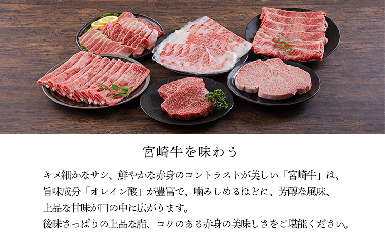 宮崎牛うで・ももスライス450g すき焼きしゃぶしゃぶ用（2～3人前） 内閣総理大臣賞4大会連続受賞のお肉 ブランド牛 黒毛和牛 大人気のヘルシーな牛肉 [和牛 国産 黒毛和牛] TF0901-P00020 [TF901]