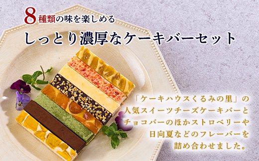 ふーちゃんのケーキバーづくし８種類１２本セット　 TF0673