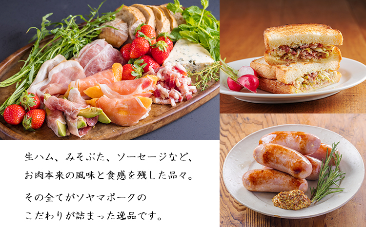 ãœã€ãããŒã¯ã®å å·¥åè©°ãåããTF862-P00078