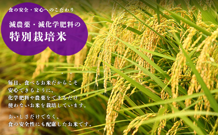 【令和6年産 新米：12回定期便】霧島湧水が育む きりしまのゆめ「ひのひかり」無洗米6kg×12回 年間定期便 2024年産　TF0449-P00026