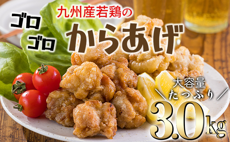 九州産の若鶏の大きな唐揚げ3.0kg《冷めてもおいしい!》(500g×6袋)  TF0775-P00064