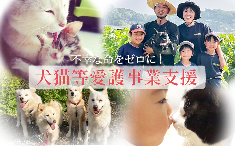 【返礼品なし】【犬猫等愛護活動 犬と猫と人にとって住みよい社会づくりを応援】宮崎県 高原町 特定非営利活動法人 咲桃虎(さくもんと)　 TF03013