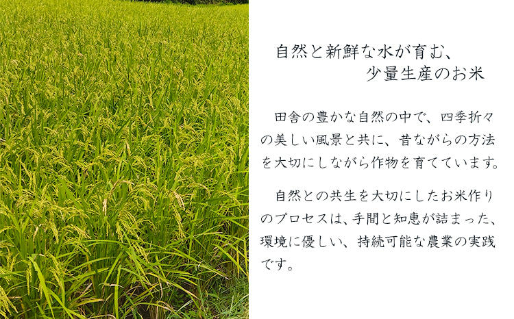 【数量限定】新米 令和6年産 農薬・化学肥料不使用 「陽の光穂（ひのひかり）」3kg(1kg×3p) 　TF0803-P00075