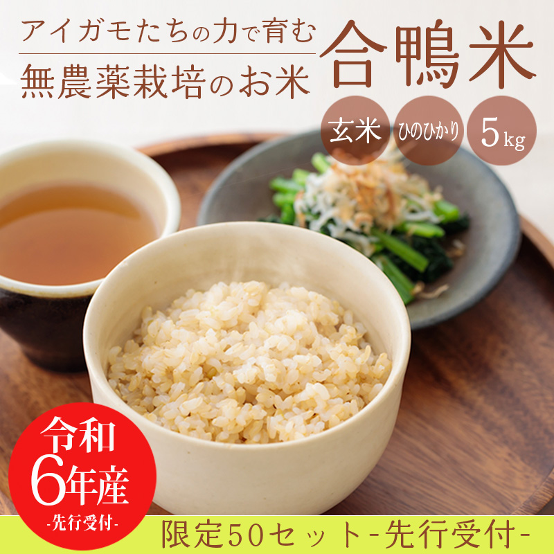 【令和6年産 新米 先行受付】無農薬栽培の「合鴨米」ひのひかり(玄米)5kg [2024年産 ワンストップオンライン]　 TF0424-P00029