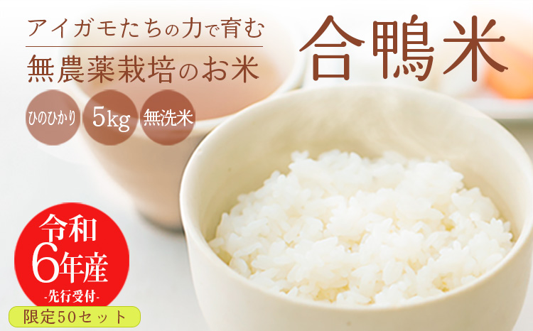 【令和6年産 新米】無農薬栽培の「合鴨米」ひのひかり(無洗米)5kg [2024年産 ワンストップオンライン]　 TF0422-P00029