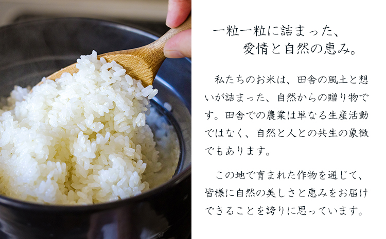 【数量限定】新米 令和6年産 農薬・化学肥料不使用 「陽の光穂（ひのひかり）」3kg(1kg×3p) 　TF0803-P00075