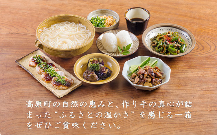 《ふるさとの高原の味》霧島の恵み！年越しうどんセット[釜揚げうどん 万能味噌 ヒノヒカリ 鶏炭火焼 特産品詰合せ セット おかず おつまみ 贈り物 ギフト ワンストップオンライン 10000円以下] TF0858-P00008