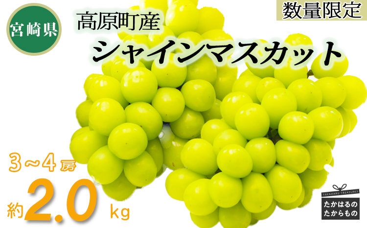 【先行受付・数量限定】久保ぶどう園のシャインマスカット約2kg（3〜4房）　 TF0394-P00005
