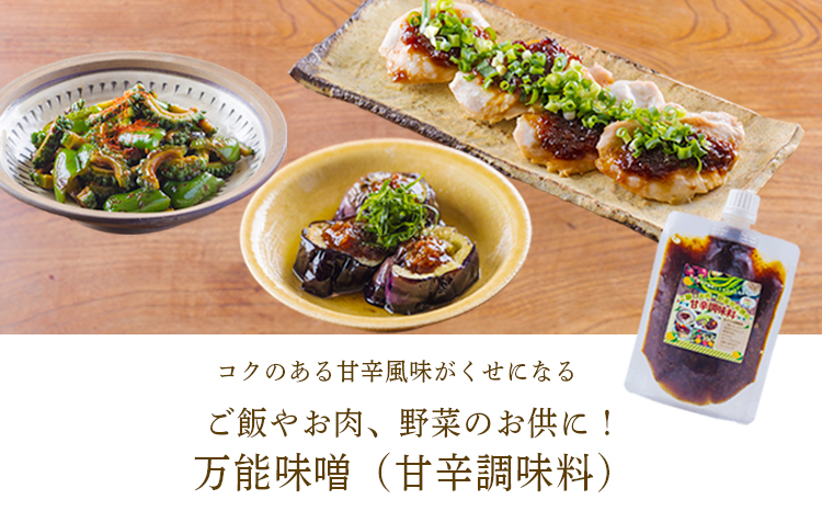 《ふるさとの高原の味》霧島の恵み！年越しうどんセット[釜揚げうどん 万能味噌 ヒノヒカリ 鶏炭火焼 特産品詰合せ セット おかず おつまみ 贈り物 ギフト ワンストップオンライン 10000円以下] TF0858-P00008