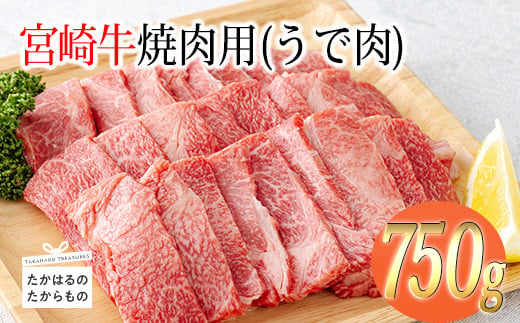 宮崎牛焼肉用（うで肉）約750g　 TF0569-P00012