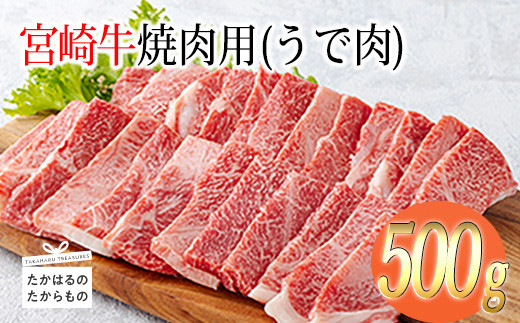 宮崎牛焼肉（うで肉）約500g　 TF0568