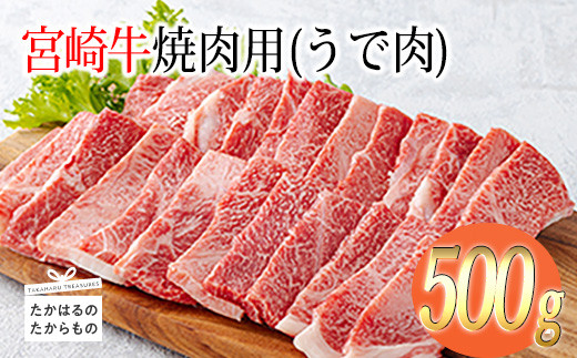 宮崎牛焼肉（うで肉）約500g　 TF0568-P00012