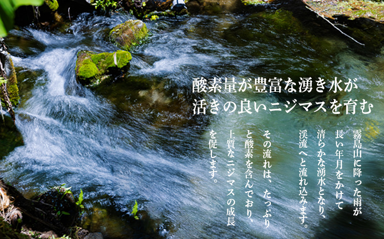 ニジマスの干物《奥霧島の山河の恵み》国産の天然塩と魚醤で味付けた川魚「虹鱒」の開き [焼き魚 干し魚 無添加 ひもの 奥霧島ドライレインボートラウト] TF0791-P00045