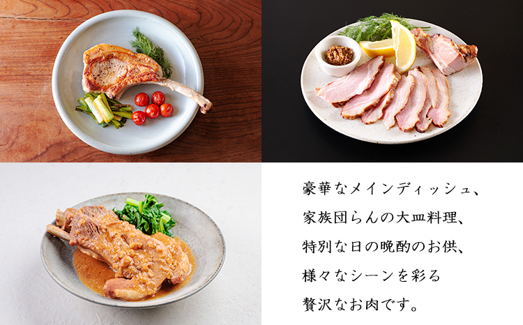 ãœã€ãããŒã¯ã®éªšä»ãèã»ããTF865-P00078