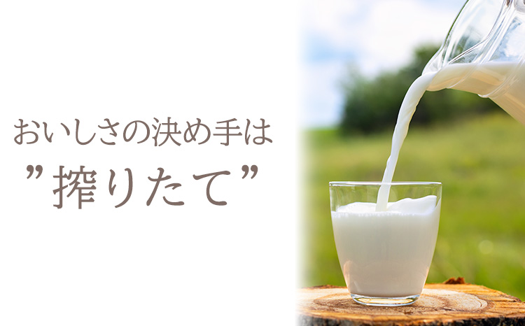 アイスクリームお楽しみDセット カップアイスやパフェ3種9個(ドリップコーヒー付き)　 TF0727-P00023