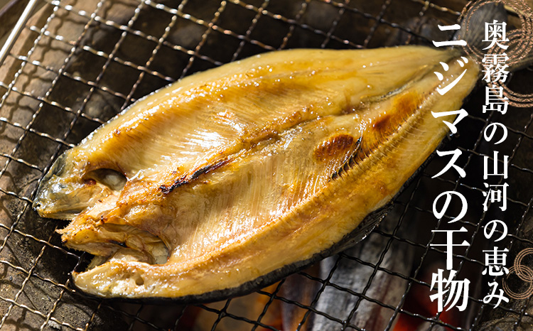 ニジマスの干物《奥霧島の山河の恵み》国産の天然塩と魚醤で味付けた川魚「虹鱒」の開き [焼き魚 干し魚 無添加 ひもの 奥霧島ドライレインボートラウト] TF0791-P00045