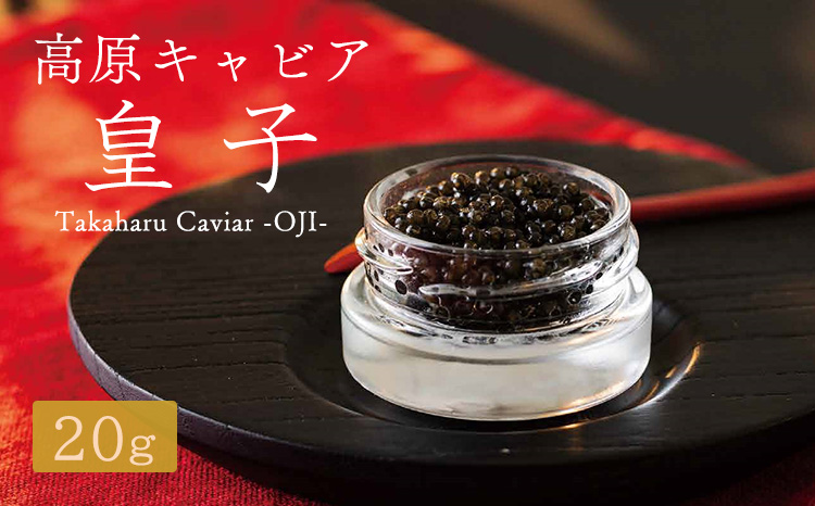 Takaharu Caviar(たかはるキャビア)『皇子』20g　 TF0513-P00045