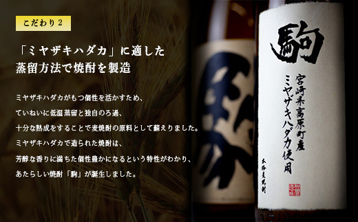 裸麦「ミヤザキハダカ」仕込　麦焼酎「駒」12本セット  宮崎県のお酒  TF0426-P00001