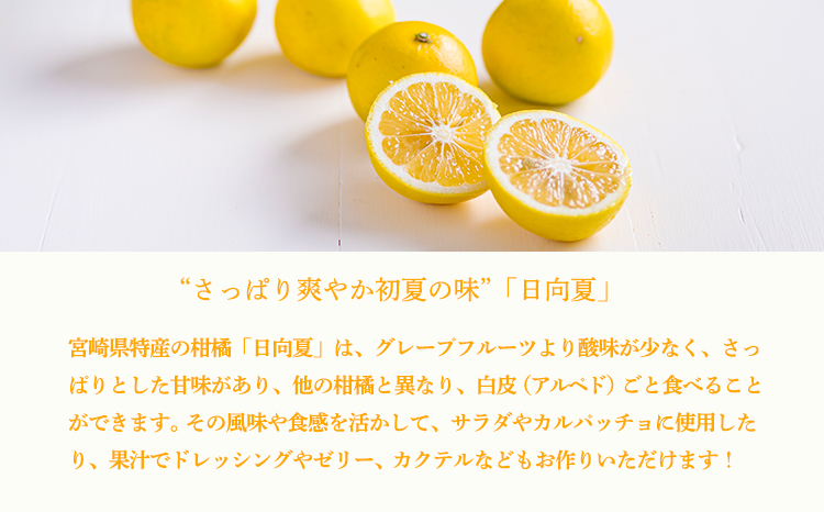 宮崎県の特産柑橘 日向夏の手搾り果汁1L(業務用)  [保存料不使用12000円 ワンストップオンライン] TF0820-P00074