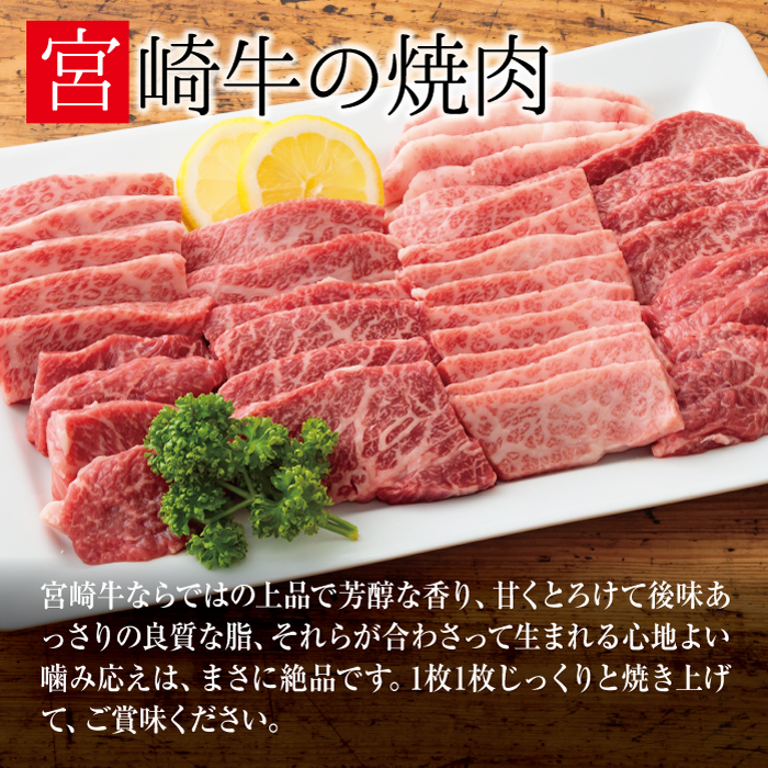 厳選 宮崎牛焼肉用500g 　 TF0556