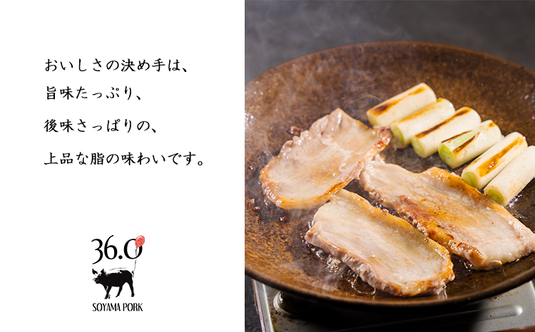 ソヤマポークのバラ＆ロース3ｍｍセットTF0829-P00078