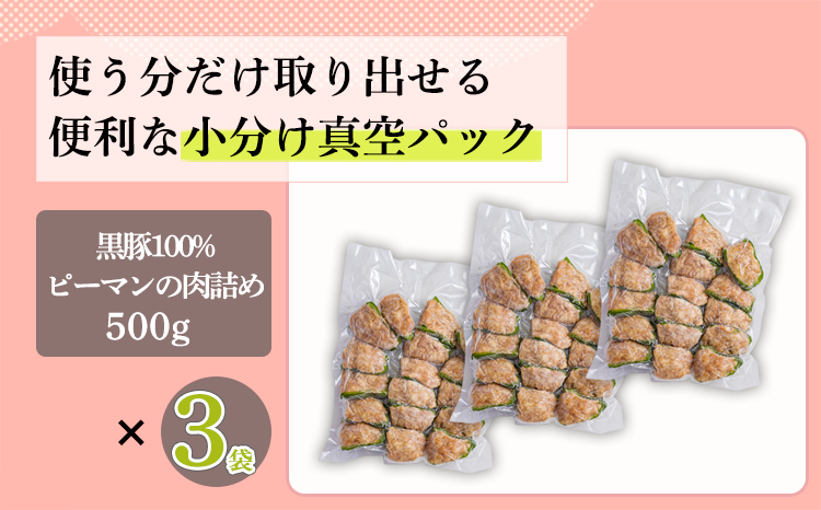 一人暮らし応援!国産黒豚100% ピーマンの肉詰めハンバーグ 1.5kg  冷凍食品 お惣菜 時短調理 1人暮らし 独り暮らし お弁当のおかず 12000円 1万円台 ワンストップオンライン申請対応 お肉 豚肉 時短料理 簡単調理 簡単料理 家庭料理]  TF0741-P00064