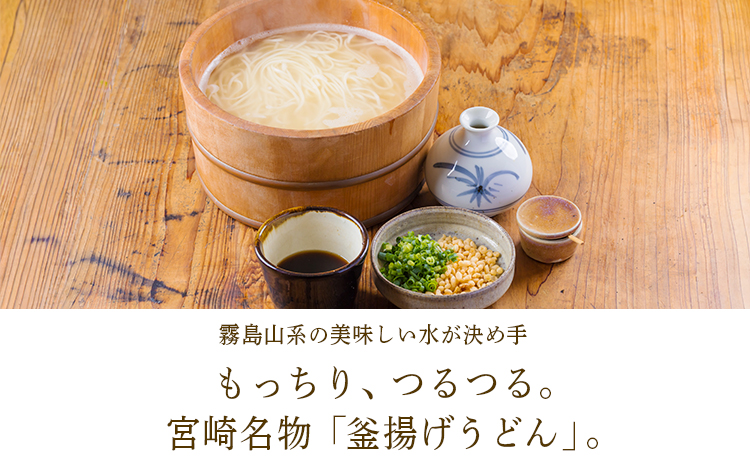 《ふるさとの高原の味》霧島の恵み！年越しうどんセット[釜揚げうどん 万能味噌 ヒノヒカリ 鶏炭火焼 特産品詰合せ セット おかず おつまみ 贈り物 ギフト ワンストップオンライン 10000円以下] TF0858-P00008
