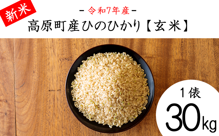 【令和7年産 新米】宮崎県高原町産 ひのひかり玄米 30kg TF00851-P00079