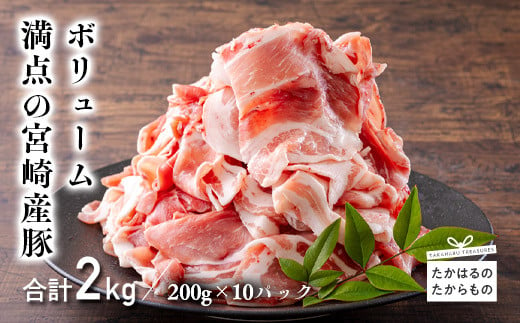 宮崎県産豚肉の切り落とし(2kg)　 TF0553-P00020