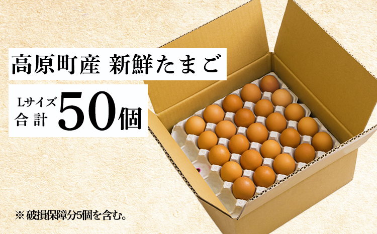 宮崎県産たまご『きみの力(チカラ)』Lサイズ大玉卵50個 産地直送の玉子 L玉 産直  　TF0793-P00035