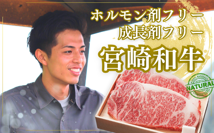 厳選 江田和牛 サーロインステーキセット1.0kg(200g×5) ワンストップオンライン対応 TF0710-P00051